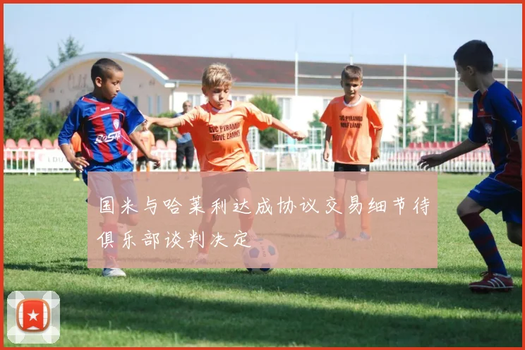 国米与哈莱利达成协议交易细节待俱乐部谈判决定