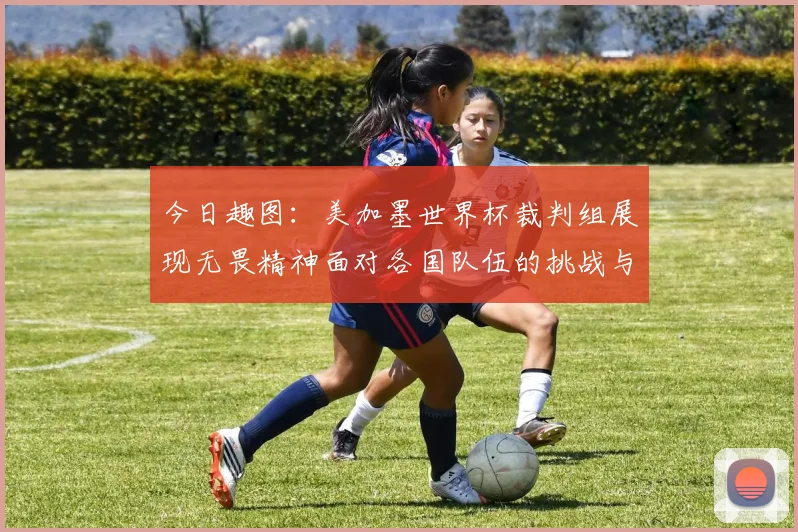 今日趣图：美加墨世界杯裁判组展现无畏精神面对各国队伍的挑战与针对
