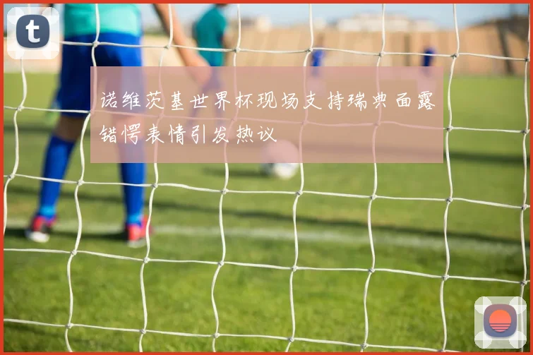 诺维茨基世界杯现场支持瑞典面露错愕表情引发热议